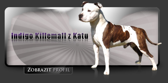 Indigo Killemall z Katu
